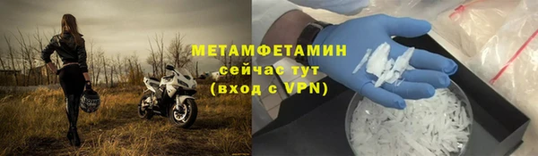 индика Верхний Тагил