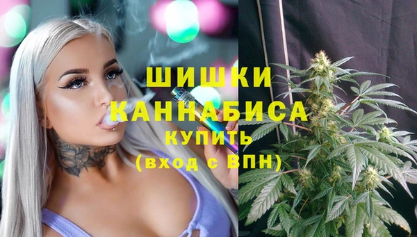 индика Верхний Тагил