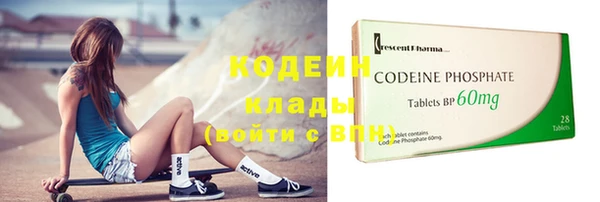 индика Верхний Тагил