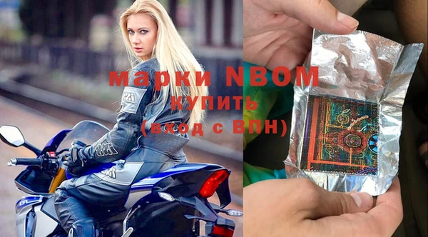 индика Верхний Тагил
