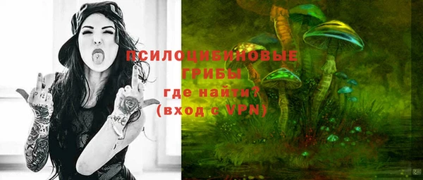 индика Верхний Тагил
