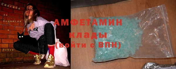 индика Верхний Тагил